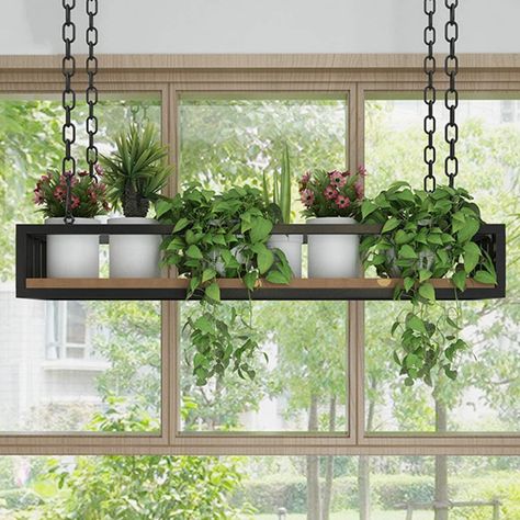 Hang Plants From Ceiling, Plants Balcony, Model Dapur, Ceiling Shelves, Window Plants, Macrame Hanging Planter, Kitchen Plants, Hanging Plants Indoor, Plant Decor Indoor