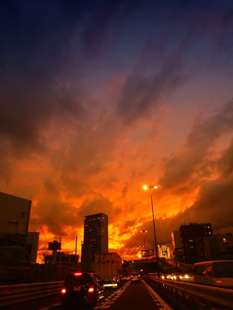 Sunset in Tokyo Highway_ Japan Sunset In Tokyo, Tokyo Highway, Tokyo Sunset, Highway Sunset, Lumix Camera, Tokyo Skyline, Driving Home, Tokyo City, Dream Place