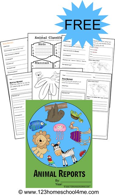 ♥ ♥  FREE Animal Reports ♥ ♥  including both simple ones for Preschool-2nd grade and more in depth science report forms for 3rd-6th grade students. Perfect for a homeschool biology unit. 2nd Grade Habitat Project, Animal Lapbook, Animal Report Template, Science Report, Grade 2 Science, 123 Homeschool 4 Me, Animal Report, Animal Research, Animal Classification