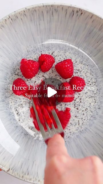 Bethany Holborn on Instagram: "SAVE these easy breakfast ideas for this week 🫶🏼

If you’re struggling to come up with new breakfast ideas little ones LOVE try one of these three raspberry inspired recipes perfect for BLW and toddlers and suitable from just 6+ months if you’re baby led weaning 👶🏼

1. Raspberry and Cream Cheese French Toast
2. Raspberry Bliss Balls 
3. Raspberry Ripple Pancakes 

All recipes can be found in full on my page 💕

#weaningbaby #blwideas #blwsnacks #blwrecipes #blwinspiration #toddlersnacks #toddlermealideas  #blwbreakfast #blw #familyrecipes #kidsrecipes #familymeals #familybreakfast #breakfastideas #kidsbreakfast #frenchtoast #pancakes #oatspiration #blw #kidssnacks" Blw Recipes 6 Months, Raspberry Bliss Balls, New Breakfast Ideas, Cream Cheese French Toast, Cheese French Toast, Raspberry Pancakes, Pregnancy Preparation, Stuffed French Toast Cream Cheese, Peanut Butter Breakfast