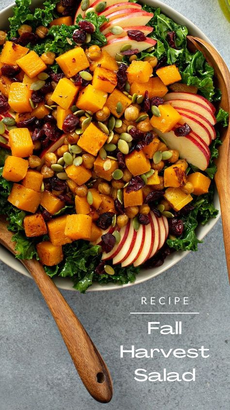 This Fall Harvest Salad recipe is as easy as pie! Filled with some of the best seasonal flavors, including butternut squash, cranberries, apples, and kale. Colorful, filling, and delicious! #unitedmarkets #wisebuys #unitedtogo #foodisourbiz #welovefood #marincounty #marincountyeats #marineats #sanrafaelcalifornia #sananselmocalifornia Harvest Salad Recipes, Kale Apple Salad, Fall Harvest Salad, Butternut Squash Kale, Butternut Squash Apple, Autumn Salad Recipes, Harvest Salad, Cranberry Salad, Autumn Salad