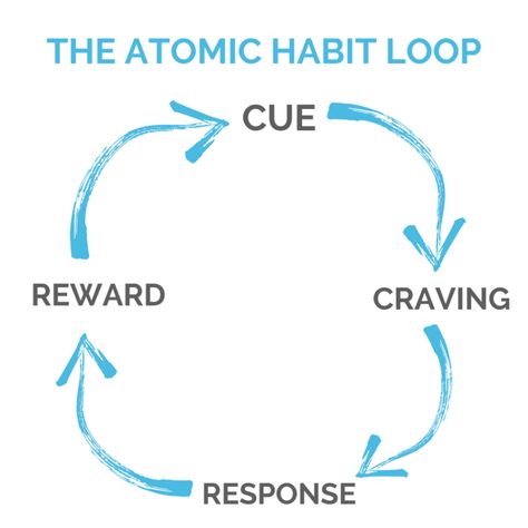 The Atomic Habit Loop Atomic Habit, Habit Loop, Habit Building, Productivity Books, Atomic Habits, Habit Trackers, Most Popular Books, Habit Tracker, Working On Myself