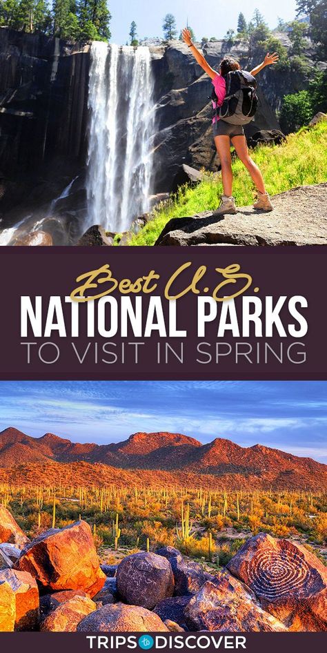 9 Best U.S. National Parks to Visit in the Spring Spring Road Trips, Places To Visit In Germany, Spring Travel Destinations, Traveling Nature, Spring Break Vacations, Usa Destinations, Spring Break Destinations, Hiking Adventures, Spring Travel