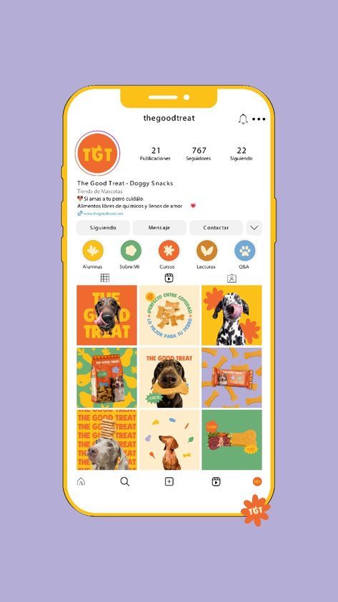 Colorful Bold Social Media Post Design for a Dog Food Brand - by ADY Estudio😍 instagram post design Social Media Brand Identity, Dog Food Social Media, Dog Food Branding, Pet Branding Design, Product Social Media Design, Ig Post Design, Food App Design, Pet Advertising, Pet Store Ideas