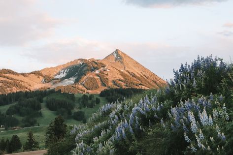 Crested Butte, The Mountains Are Calling, Nature Aesthetic, Pretty Places, In The Mountains, Travel Aesthetic, Beautiful World, Granola, The Great Outdoors