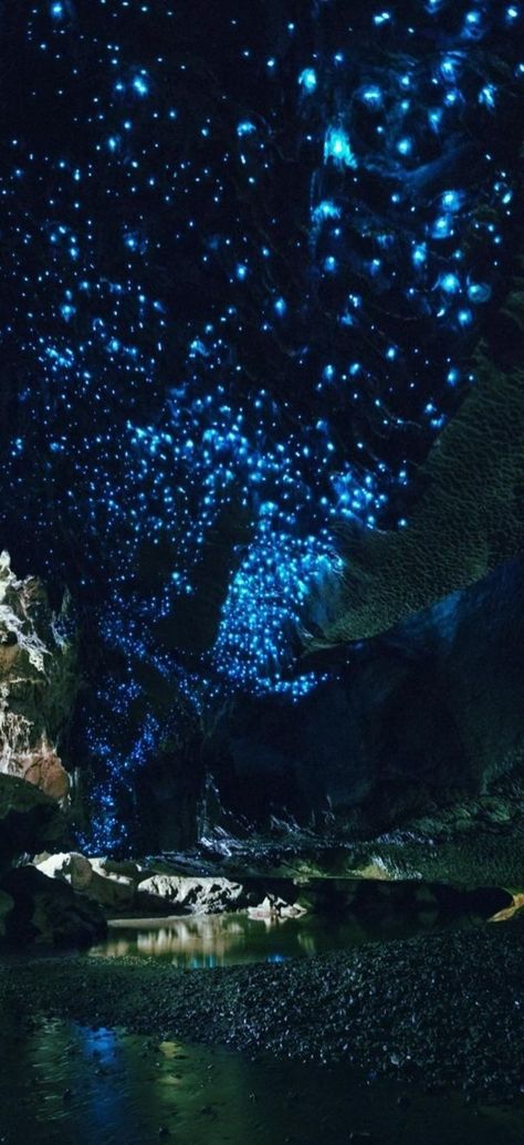 Waitomo Glowworm Caves, Nova Zelândia Waitomo Glowworm Caves, Glowworm Caves, Cave System, Glow In The Dark, Stars, Quick Saves