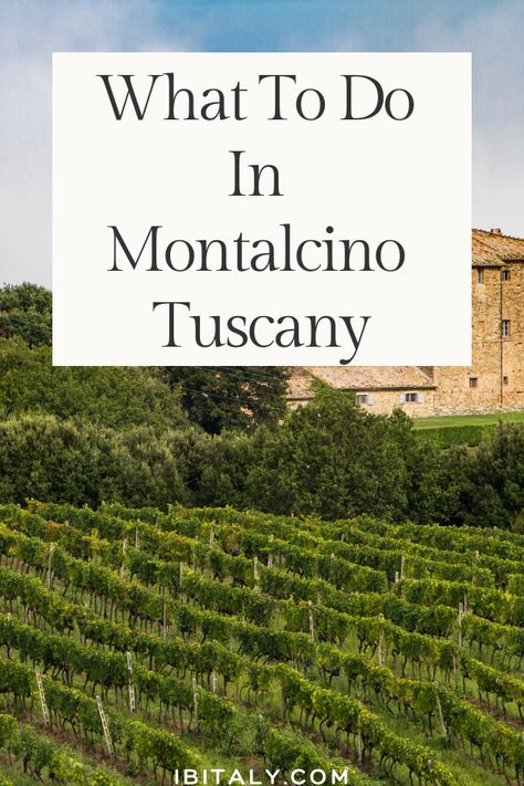 What To Do In Montalcino, Tuscany - Ibitaly Montalcino Tuscany, Montalcino Italy, Brunello Di Montalcino, Thermal Spring, Wine Festival, Unforgettable Memories, Wine Tour, Wine Making, Wine Tasting