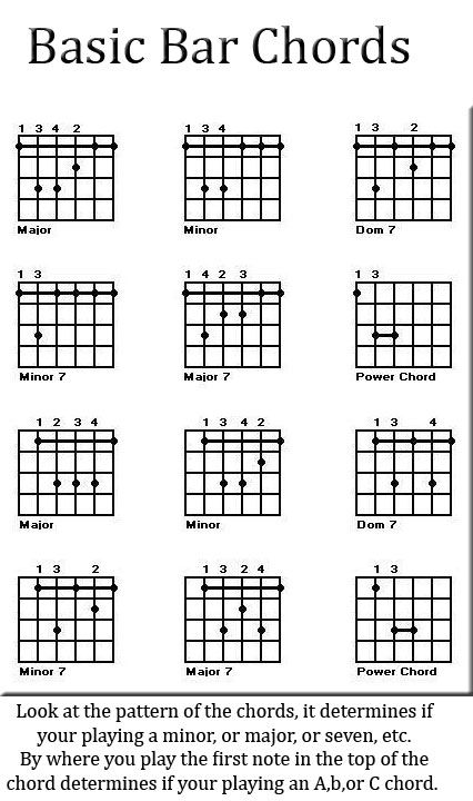 Bar Chords Basic Guitar Chords Chart, Guitar Chords For Beginners, Free Guitar Chords, Guitar Knowledge, Chords For Beginners, Capo Guitar, Barre Chords, Acoustic Guitar Tattoo, Guitar Things