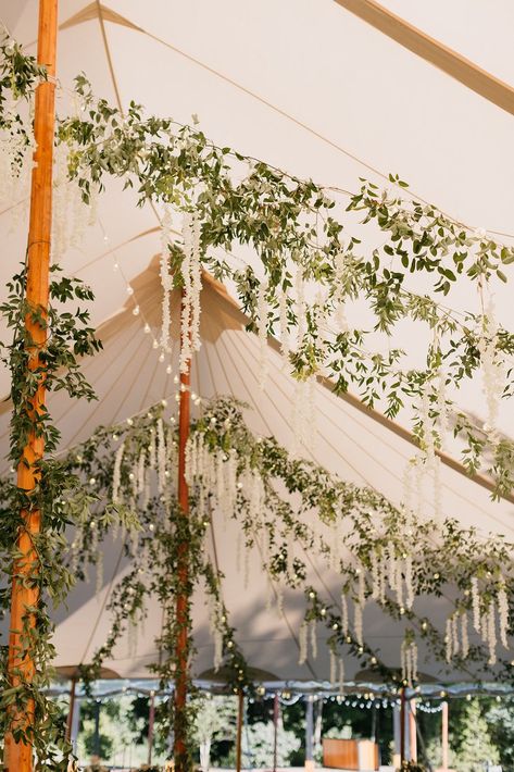 Perfect Tented Wedding Celebration Wisteria Tent Wedding, Wedding Tent Garland, Flower Tent Decoration, Party Tent Set Up, Wedding Vines Decor, Bistro Lights Tent, Lights Under Tent Wedding, Outdoor Wedding Under Tent, Under Tent Wedding Reception