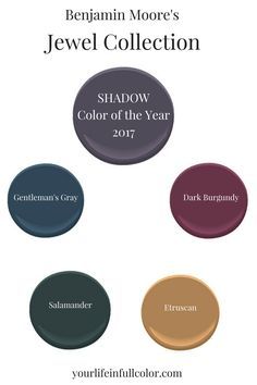 Guest Bedroom Paint Ideas, Benjamin Moore Shadow, Jewel Tone Paint Colors, Jewel Tone Living Room, Jewel Tones Palette, Burgundy Living Room, Burgundy Paint, Brown Living Room Decor, Jewel Tone Colors