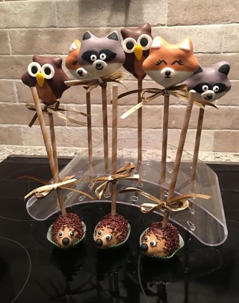 Fox Cake Pops, Woodland Cake Pops, Wildlife Cake, Raccoon Cake, Raccoon Party, Rustic Baby Shower Cake, Thanksgiving Cake Pops, Woodland Decorations, Cheap Baby Shower Favors