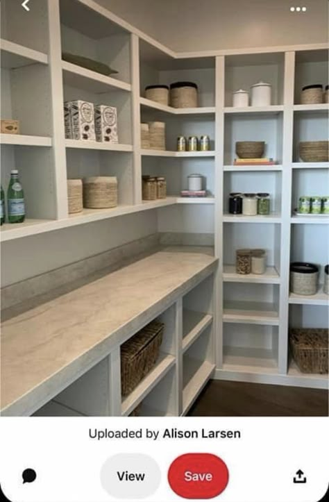 Step In Pantry Design, Butlers Pantry Shelving, Pantry Room Ideas Walk In, Walk In Pantry With Countertop, Pantry With Appliance Counter, Pantry Renovation, Pantry Closet Design, Pantry Layout, House Pantry