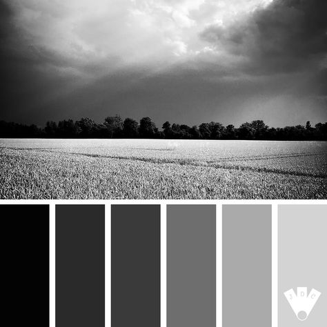 Blé noir | Journal des couleurs Black Shades Colour Palettes, Noir Color Palette, Color Palette, Color