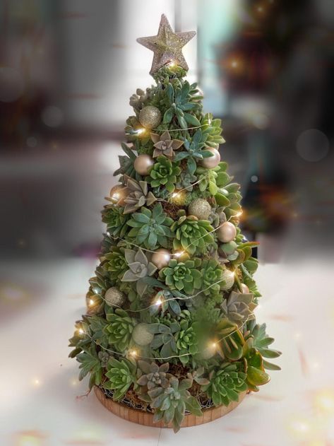 Succulent Christmas Tree, Succulent Christmas, Natal Natural, Succulent Tree, Alternative Christmas, Alternative Christmas Tree, Mini Succulents, Faux Succulents, Christmas Tree Themes