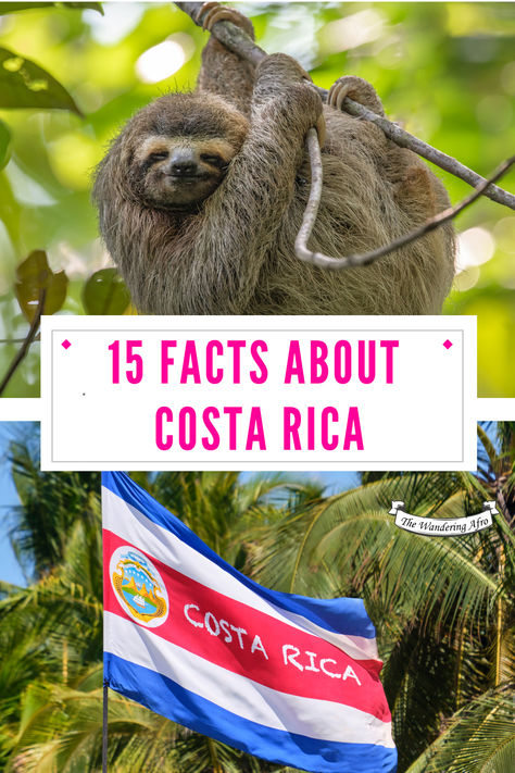 Read this before planning your trip to Costa Rica! 15 interesting fun facts about Costa Rica, land of Pura Vida Costa Rica Facts, Interesting Fun Facts, Turtle Hatching, Trip To Costa Rica, Blow Your Mind, Interesting Facts, Plan Your Trip, Facts About, Costa Rica