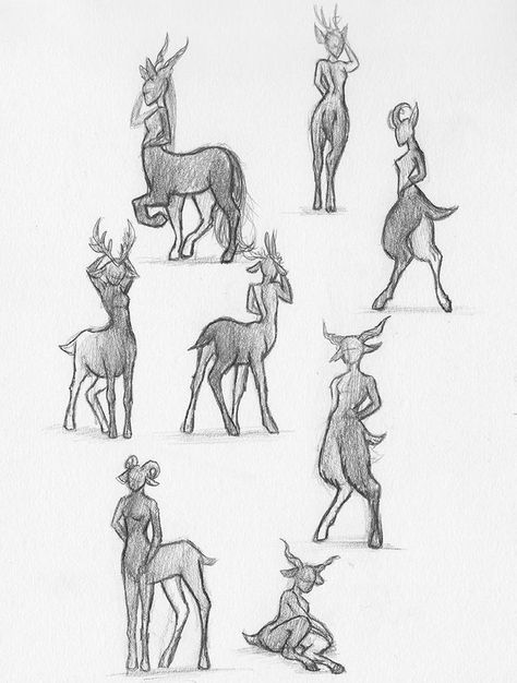 Centar Reference Drawing, Goat Man Drawing, Centaur Base, Centaur Reference, Deer Hybrid Human, Centaur Poses, Creature Poses, Magic Poses, Muscle Reference