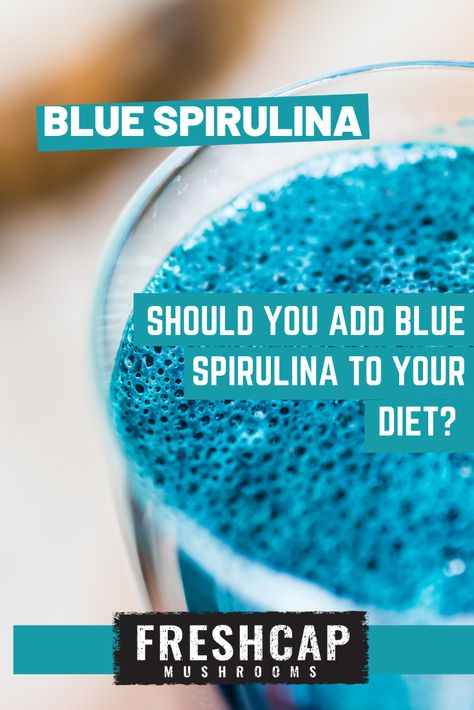 Blue Spurilina Benefits, Benefits Of Blue Spirulina, Blue Spirulina Benefits, Blue Spirulina Recipes, What Is Spirulina, Spirulina Benefits, Spirulina Recipes, Blue Majik, Superfood Powders