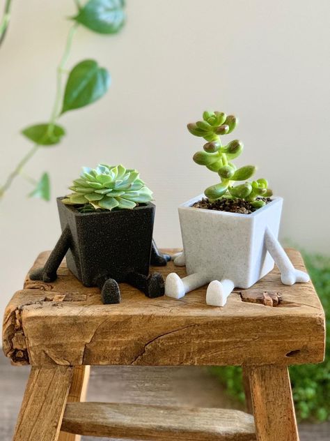 Clay Plant Pots, Support Pour Plante, Plant Pot Decoration, Small Cactus, Handmade Planter, Cactus Planter, Support Plante, Small Arms, Tiny Plants