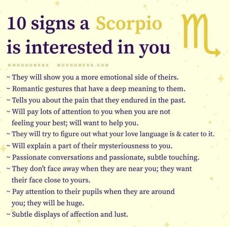 Zodiac Mind Scorpio, Birth Month Quotes, Gemini Characteristics, All About Gemini, Gemini Zodiac Quotes, Gemini Personality, Gemini And Scorpio, Gemini Traits, Gemini Girl