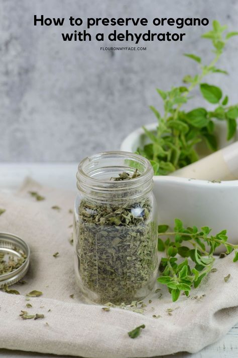 How to preserve oregano by dehydrating. Storing Fresh Ginger, Herb Cabinet, Olive Oil Marinade, Preserve Herbs, Dry Oregano, Greek Style Chicken, Drying Fresh Herbs, Preserving Herbs, Dehydrated Fruit