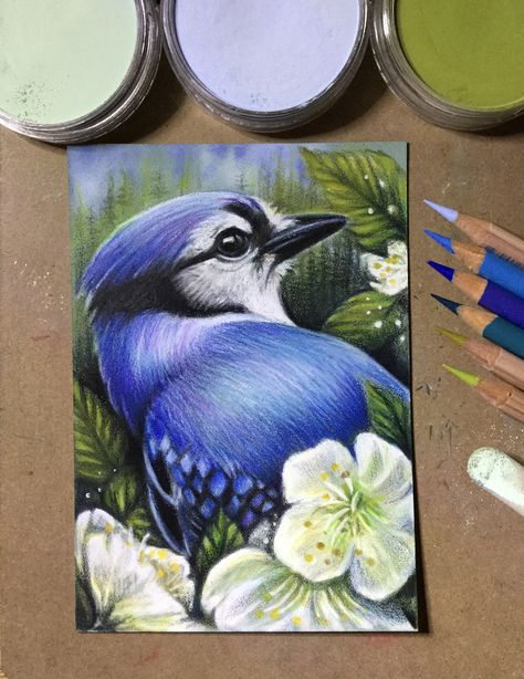 Panpastels and coloured pencils Pencil Colour Painting Ideas, Pencils Colour Drawing, Color Shading Drawing, Oil Pastel Animal Drawings, Pencil Colour Drawing Ideas Creative, Drawing Ideas Colored Pencil Easy Nature, Color Pencil Art Nature, Bird Drawings Colour, Colored Pencils Drawing Ideas