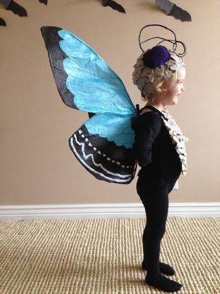 I came across a beautiful butterfly costume image, and this is my attempt to recreate it. Using tissue paper, egg cartons and cardboard, I hope this helps anyone... Toddler Butterfly Costume, Butterfly Costume Kids, Diy Butterfly Costume, Butterfly Halloween Costume, Butterfly Wings Costume, Butterfly Halloween, Bug Costume, Cardboard Costume, Butterfly Costume