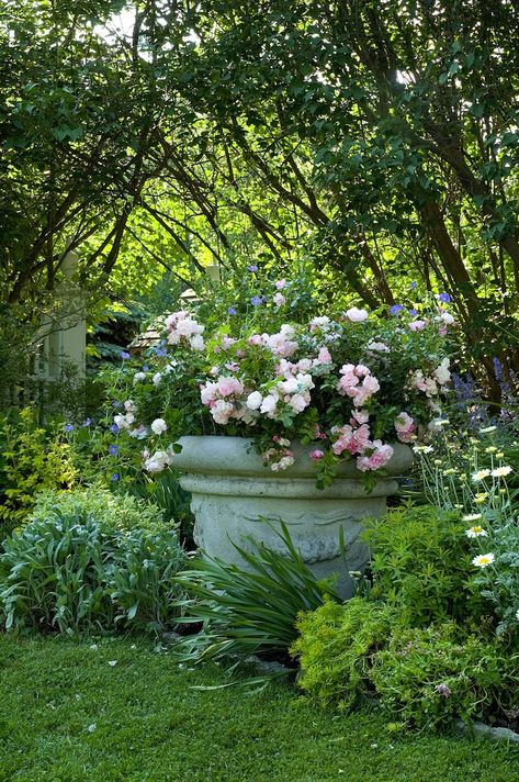 Cottage Garden Fire Pit, Container Cottage Garden, Part Sun Cottage Garden, Lush Cottage Garden, English Cottage Container Garden, French Cottage Garden, Cottage Outdoor, Fine Gardening Magazine, French Country Garden