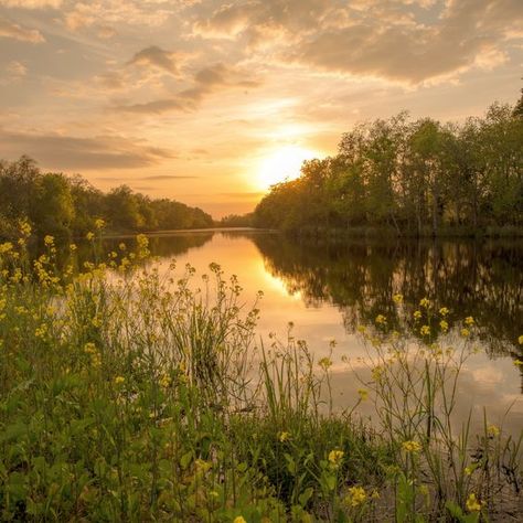 Golden Meadow Aesthetic, Sunset Meadow Aesthetic, Sunset River Aesthetic, Meadow With River, Photo Ideas Landscape, River Landscape Photography, Nature Places Aesthetic, Cajun Aesthetic, River With Flowers