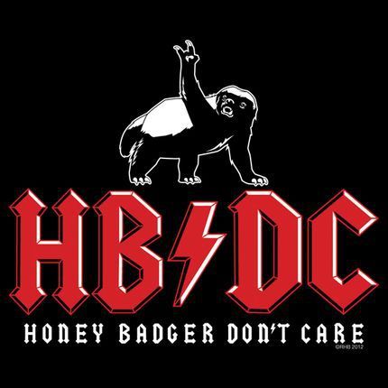 Honey Badger Meme, Honey Badger Humor, Honey Badger Tattoo, Badger Tattoo, Badgers Logo, I Love You Honey, Honey Badger, Sarcastic Quotes Funny, Sarcastic Quotes