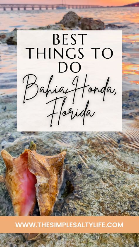 How to Spend the Perfect Day in Bahia Honda State Park • Explore Florida • The Simple Salty Life Bahia Honda State Park, Manatee Florida, Beach Canopy, Places In Florida, The Florida Keys, Beach Adventure, Anniversary Trips, Coral Reefs, Island Getaway