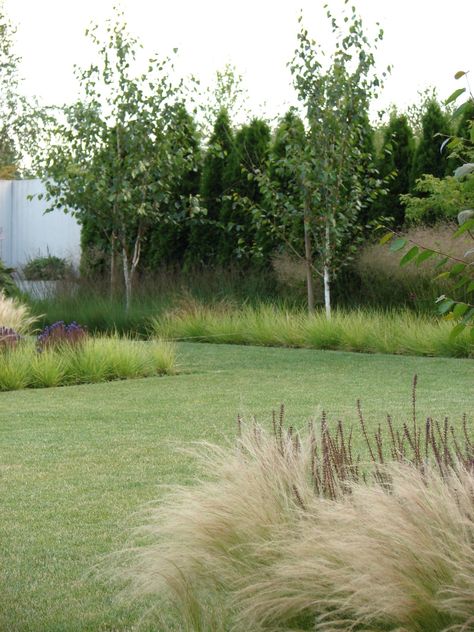 Landscaping Design Ideas, Patio Garden Design, Modern Garden Design, Grasses Garden, Have Inspiration, Garden Landscape Design, Landscaping Design, Modern Landscaping, Garden Cottage