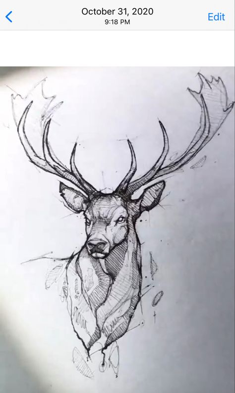 Deer Sketch, Deer Drawing, Animal Drawings Sketches, Couple Drawing, Pen Art Drawings, Sketch Artist, Desenho Tattoo, Arte Sketchbook, Art Drawings Sketches Creative