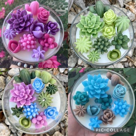 Succulents , Cactus , Echeveria Succulents , Candle Art Succulent Candles, Succulent Candle, Terrarium Candle, Cactus Candles, Succulents Candles, Diy Candles Homemade, Fake Candles, Candle Crafts Diy, Candle Making Business