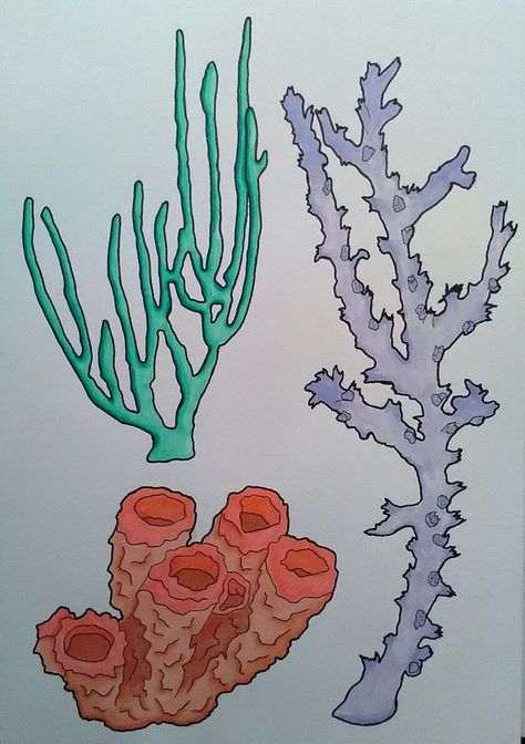 Coral Reef Drawing Realistic, Simple Coral Reef Drawing, Coral Reef Cartoon Drawing, Underwater Coral Drawing, Oil Pastel Coral Reef, Coral Reef Drawing, Coral Drawing, Copic Pens, Book Art Diy