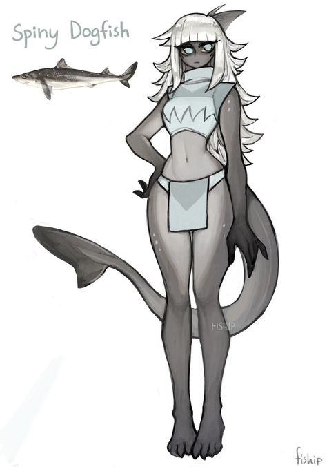 Spiny Dogfish, Shark Drawing, Shark Girl, Drawing Base, Creature Design, Creature Art, Cartoon Art Styles, Art Reference Poses, Fantasy Character Design