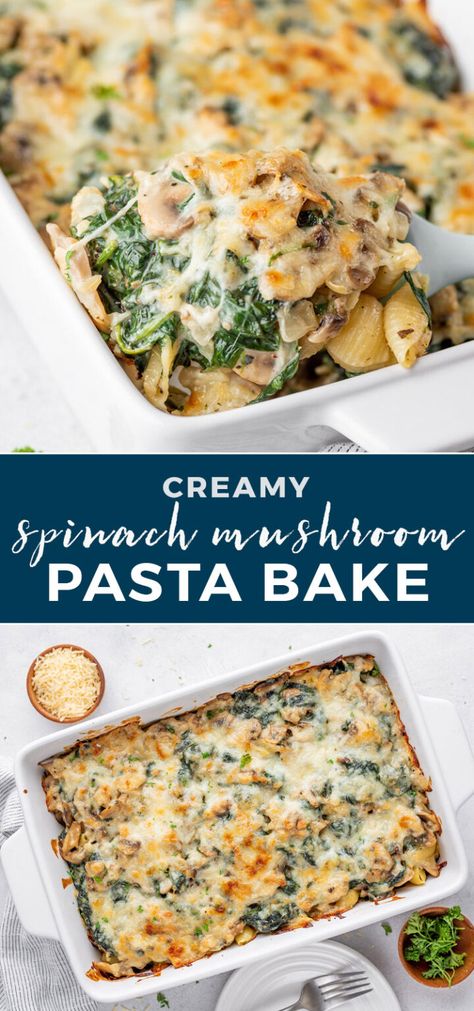 Creamed Spinach Dinner Ideas, Cream Spinach Pasta Recipe, Creamy Spinach And Rigatoni Bake, Recipes For Dinner With Spinach, Cream Of Casserole, Creamed Spinach Pasta Recipe, Garlic Parmesan Pasta With Spinach And Mushrooms, Easy Healthy Pasta Bake Recipes, Creamy Pasta Bake Vegetarian