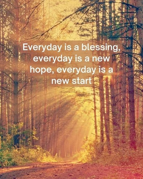 Everyday Is A Blessing Quotes, Work On Me Quotes, Morning Gratitude Quotes, Everyday Is A Blessing, Take Care Of Yourself Quotes, Morning Gratitude Affirmation, Uplifting Sayings, Good Morning People, Live Simple