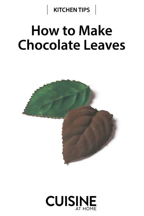 How to Make Chocolate Leaves | Here's a simple way to make chocolate leaves. Buying fresh roses every time you make chocolate leaves is costly so try our cost-effective (and reusuable) way to make these decorative leaves that elevate the presentation of your desserts. #food #cuisineathome #cookingtips #cookinghacks #kitchentips #kitchenhacks Chocolate Leaves, Chocolate Decor, Thanksgiving Cupcakes, Chocolate Roses, Pumpkin Leaves, Decorative Leaves, Chocolate Decorations, Leaf Decor, Wax Paper