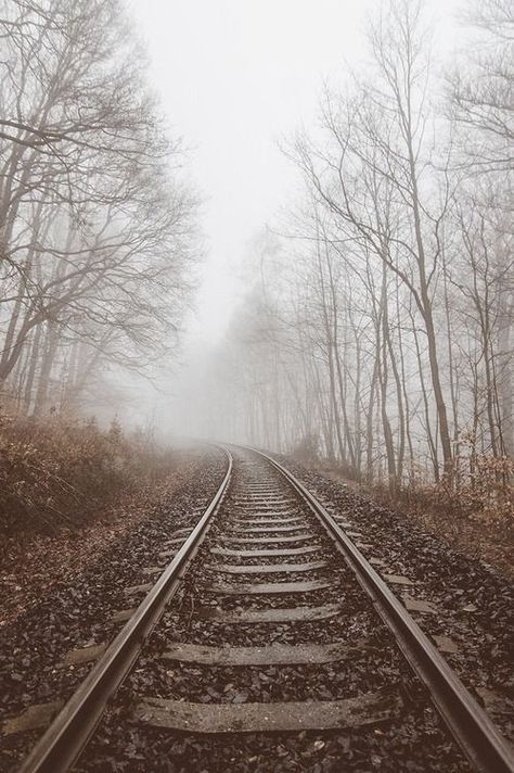 Track Aesthetic, Foggy Forest, Old Trains, Steam Engine, Train Tracks, Train Travel, A Train, In The Woods, Railroad Tracks