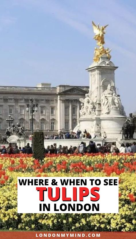 Looking for spring flowers after the April showers? Here's where to find tulips in London, which bloom through March, April, and May. London In Spring, London In April, London In March, Trip Photos, London Bucket List, London Vacation, Travel Guide London, London Trip, Things To Do In London