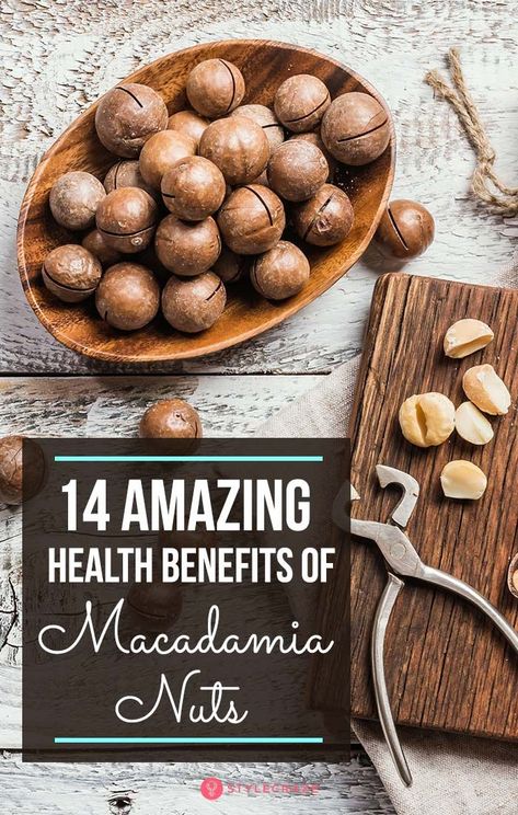 14 Amazing Health Benefits Of Macadamia Nuts |Food| Nutrition| Food facts| Health| Fitness|| #fitness #food #nutrition #Foodfacts Macadamia Nut Benefits, Nut Benefits, Brazil Nut, Salted Nuts, Raw Nuts, Healthy Nuts, Natural Kitchen, Macadamia Nut, Planning Inspiration