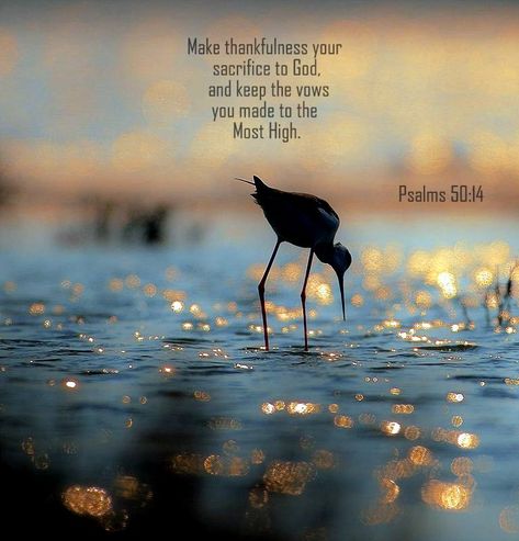 Psalms 50:14 nlt Scripture Challenge, Psalm 50, Worship Quotes, Book Of Psalms, Scripture Reading, Daily Scripture, Encouraging Scripture, Bible Prayers, Favorite Bible Verses