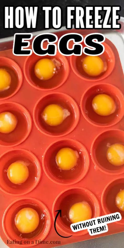 Can Eggs Be Frozen, How To Freeze Raw Eggs, How To Freeze Eggs The Right Way, Store Eggs Long Term, Can You Freeze Raw Eggs, Freezing Eggs How To, Freeze Eggs Raw, How To Preserve Eggs, Canning Eggs Food Storage