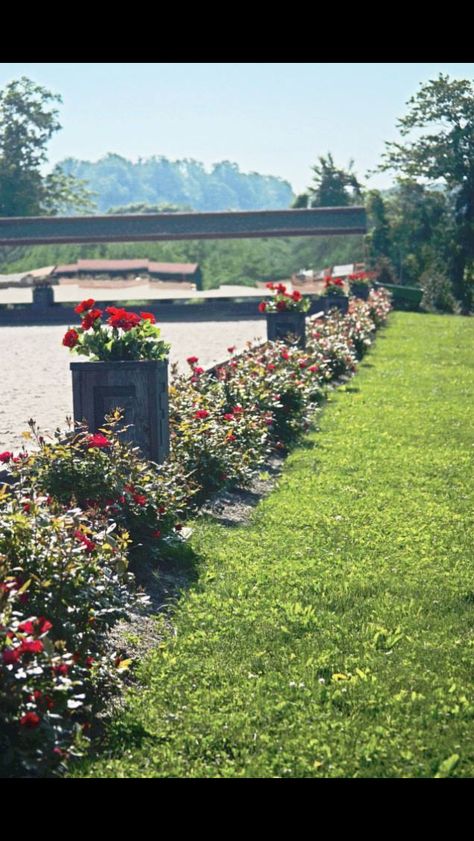 Dressage arena surrounded by beautiful flowers Outdoor Arena Horses, Outdoor Riding Arena, Equestrian Properties, Dressage Arena, Riding Arena, Horse Barn Ideas Stables, Stable Ideas, Horse Arena, Dream Stables