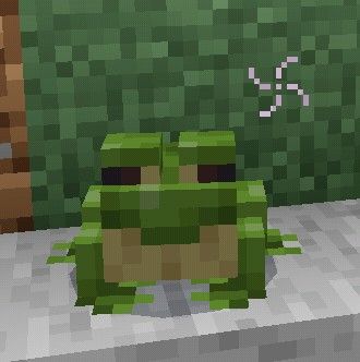 Minecraft Frog, Minecraft