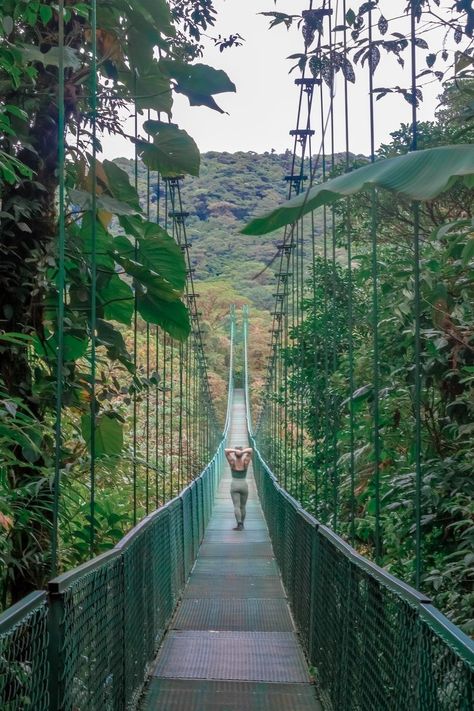 Why You Need to Visit the Monteverde Cloud Forest in Costa Rica - Be My Travel Muse Cloud Forest Costa Rica, Monteverde Cloud Forest, Monteverde Costa Rica, Forest Lodge, Foggy Weather, Cloud Forest, Atv Tour, Continental Divide, Monteverde