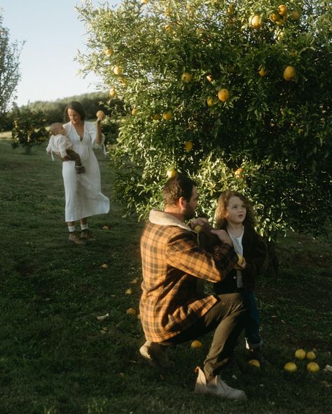 celeste shiels photography family photoshoot outdoors garden farmhouse aesthetic style motherhood photography lemon tree farm fatherhood cottagecore Winter Photo Ideas, Lemon Trees, Garden Farmhouse, The Scarecrow, Motherhood Photography, Farmhouse Aesthetic, Winter Photo, Orange Tree, Lemon Tree