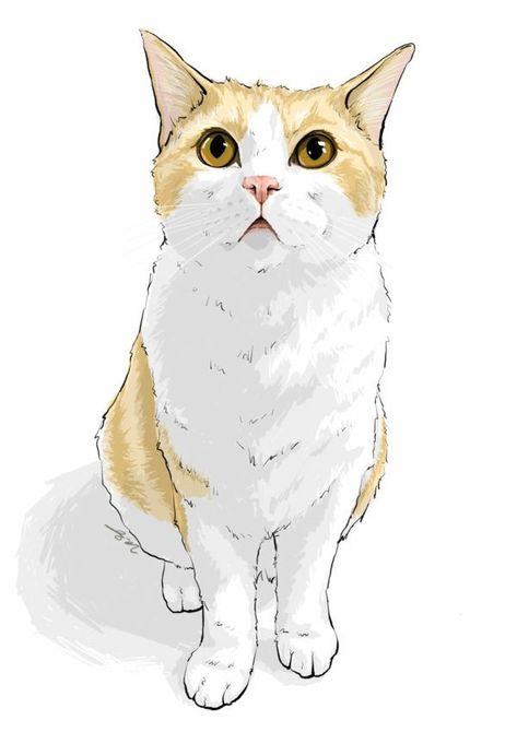 Cats in art Orange Cat Drawing, Art Business Ideas, Cats Art Drawing, Cat Sketch, 강아지 그림, Drawing Cats, Pola Sulam, Cat Artwork, Watercolor Cat