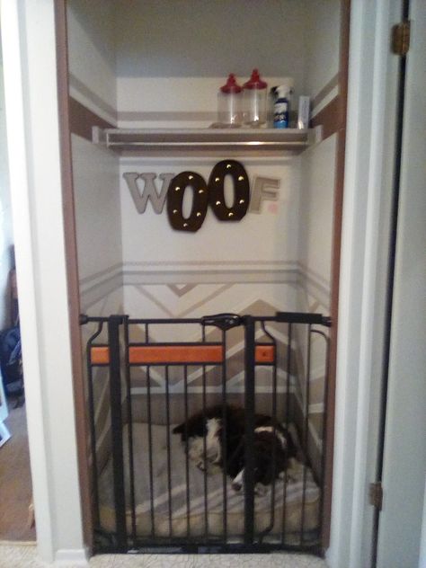 closet transfornation Dog Room Closet Ideas, Dog Closet Ideas, Dog Closet Room, Morton Homes, Converted Closet, Dog Nook, Room Under Stairs, Dog Closet, Pet Room