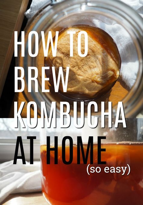 Kumbacha Recipe, Continuous Brew Kombucha, Kombucha Drink, Kombucha Scoby, How To Brew Kombucha, Homemade Kombucha, Kombucha Recipe, Detox Tea Recipe, Brewing Recipes